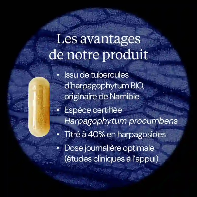 Miniature 3